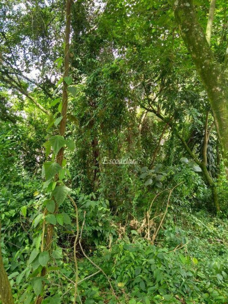 Loteamento e Condomínio, 340 m² - Foto 3
