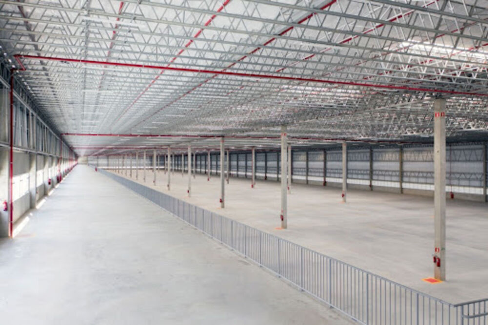 Depósito-Galpão, 146643 m² - Foto 3