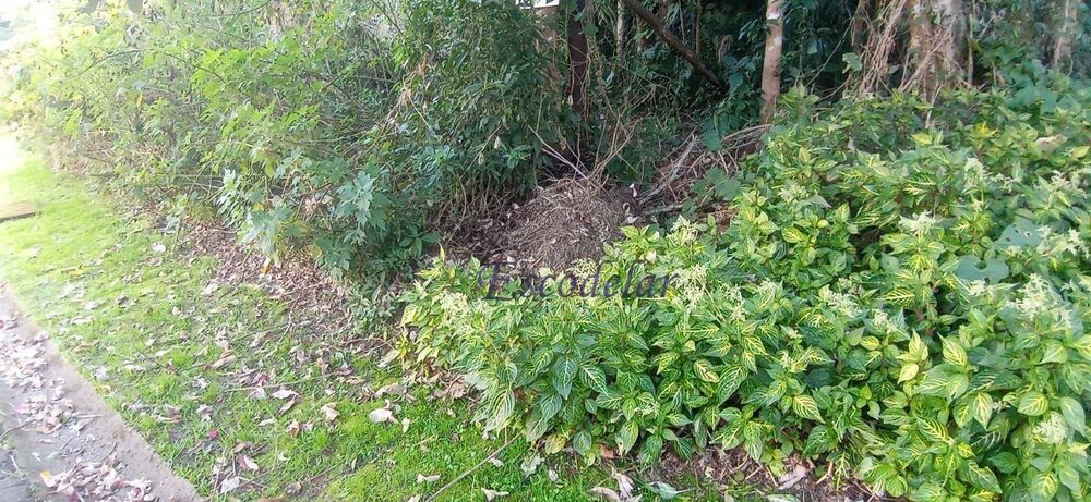 Terreno, 1462 m² - Foto 7