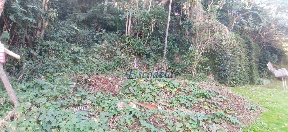 Terreno, 1462 m² - Foto 8