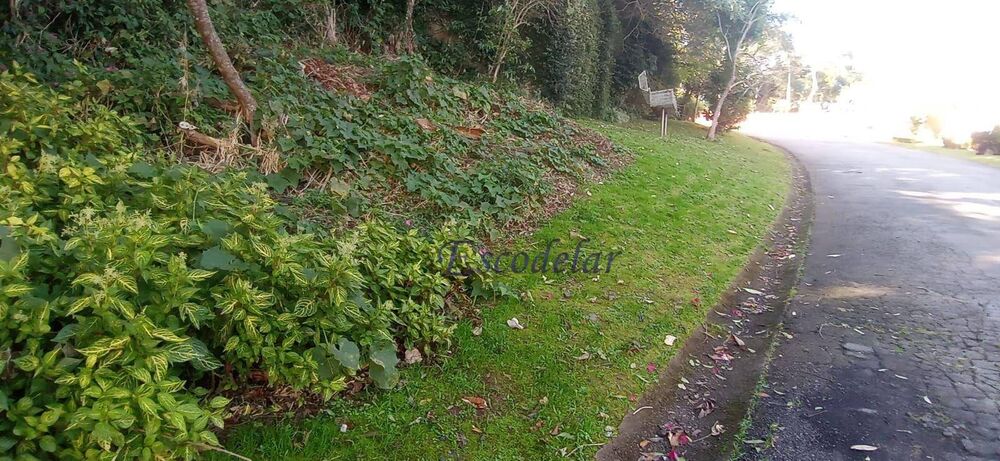 Terreno, 1462 m² - Foto 6