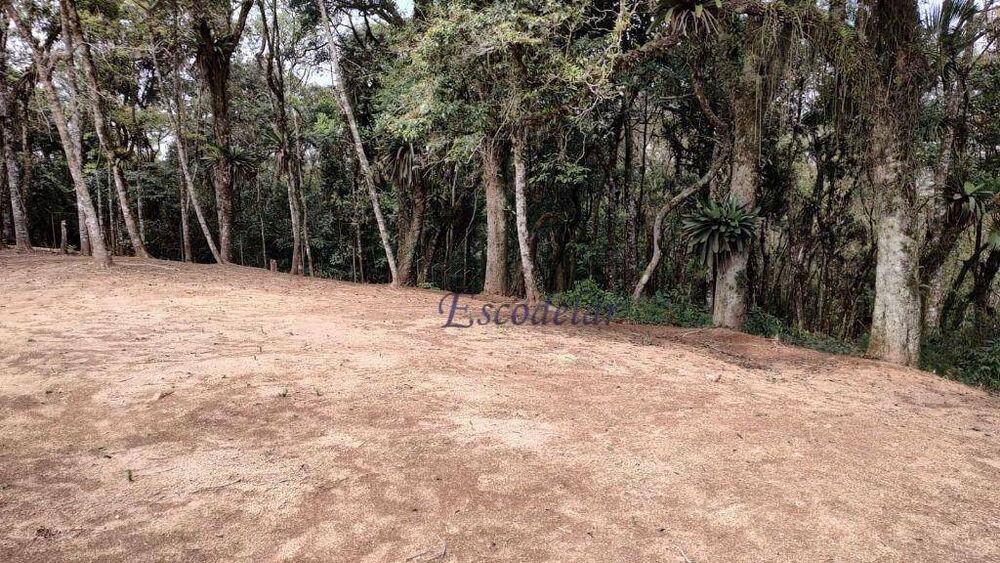Terreno, 2 hectares - Foto 3
