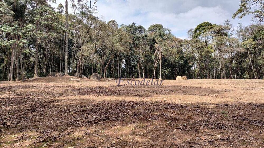 Terreno, 2 hectares - Foto 1