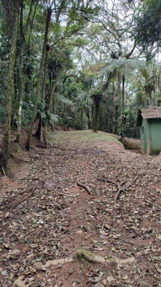 Terreno, 2 hectares - Foto 4