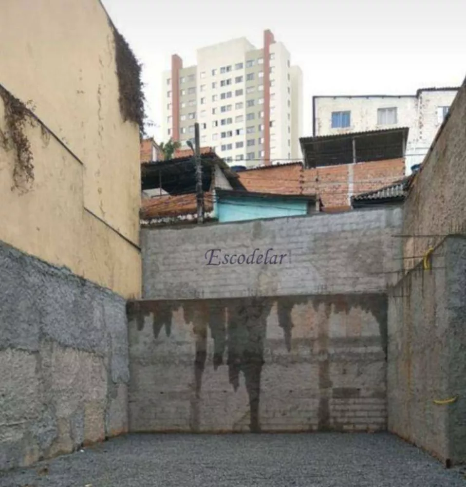 Terreno, 244 m² - Foto 5