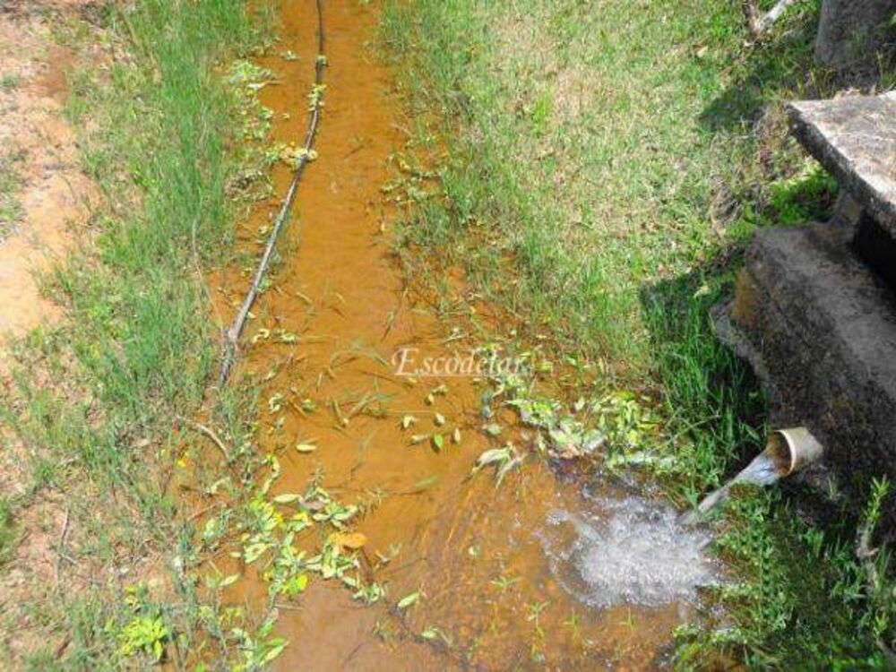 Chácara, 10 quartos, 8000 m² - Foto 18