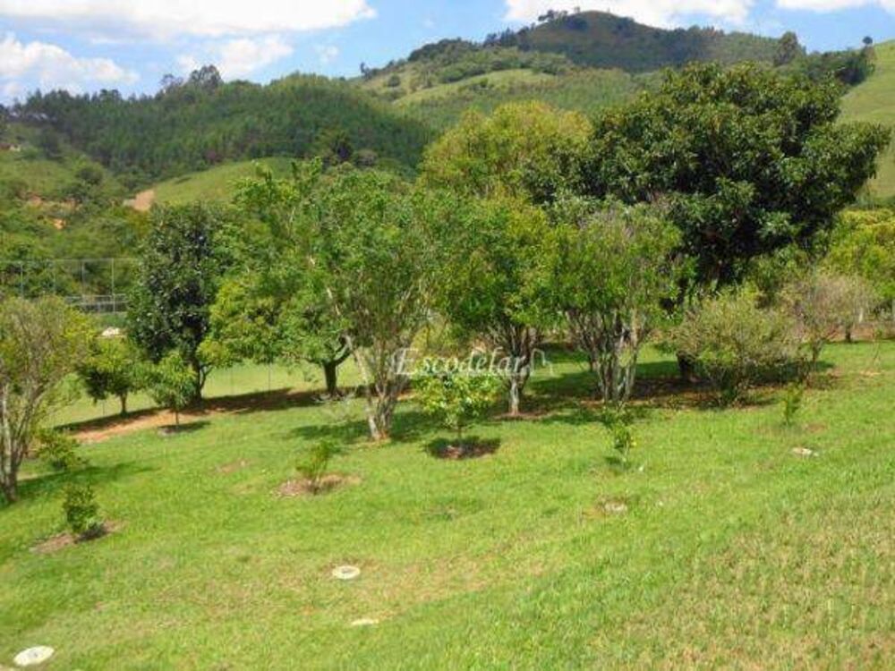 Chácara, 10 quartos, 8000 m² - Foto 19