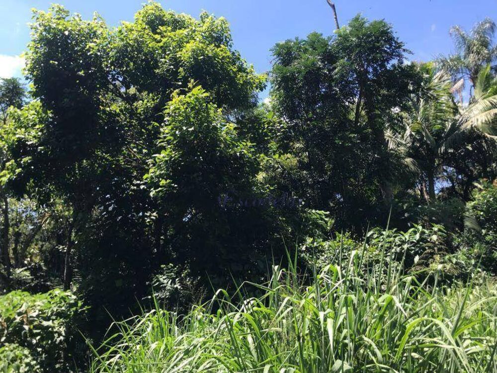 Terreno, 840 m² - Foto 4