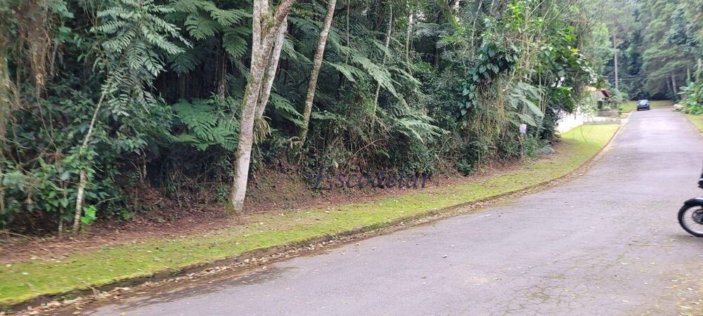 Terreno, 2562 m² - Foto 6