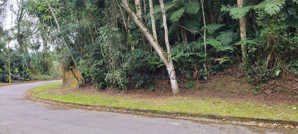 Terreno, 2562 m² - Foto 7