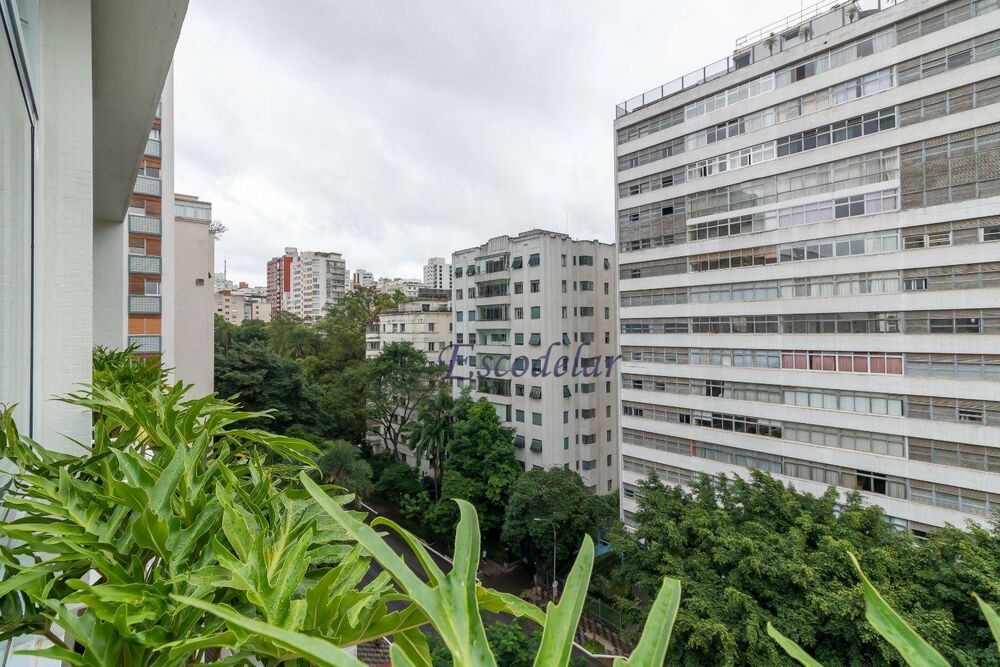 Apartamento, 3 quartos, 239 m² - Foto 36