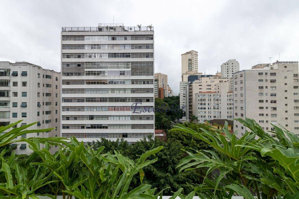 Apartamento, 3 quartos, 239 m² - Foto 37