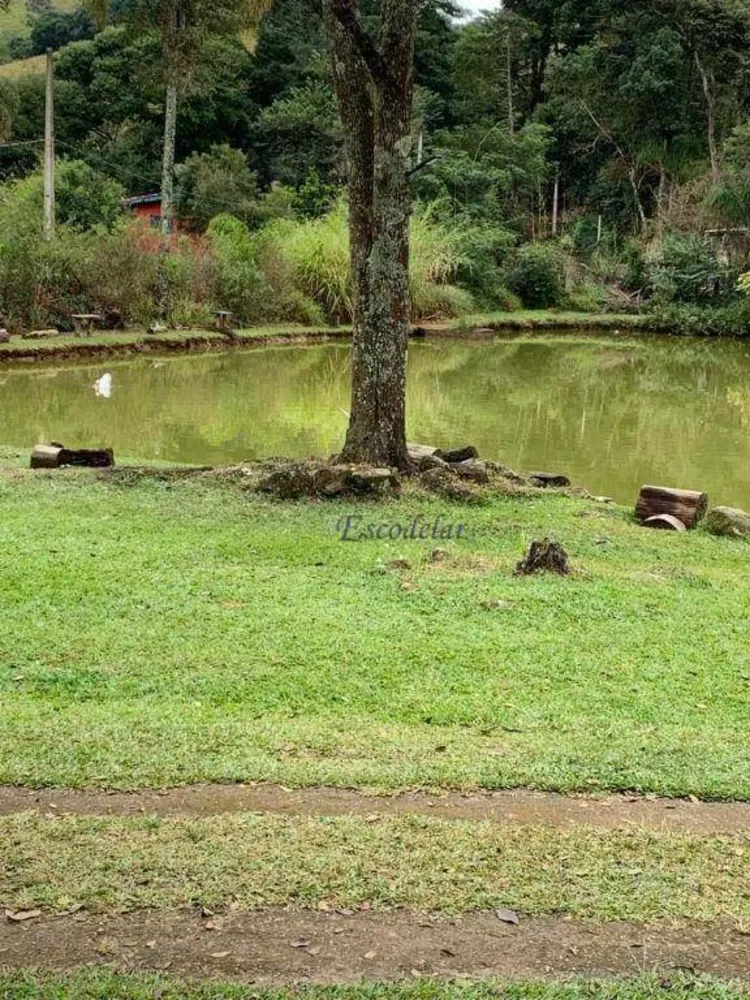 Chácara, 4 quartos, 4 hectares - Foto 7