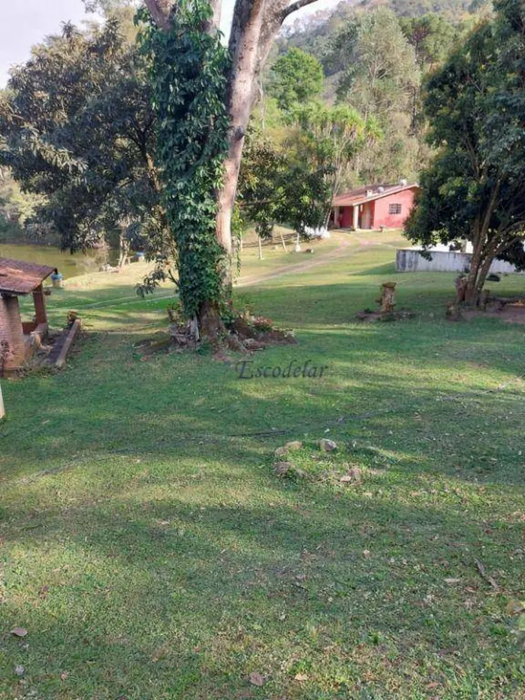Chácara, 4 quartos, 4 hectares - Foto 6