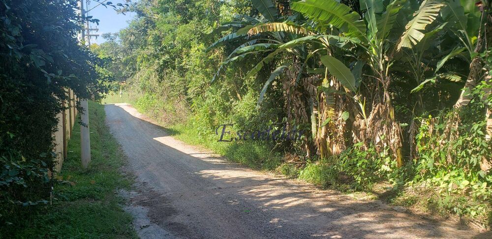 Terreno, 1083 m² - Foto 2