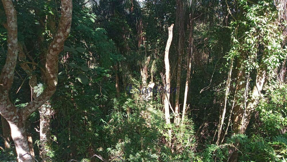 Terreno, 1210 m² - Foto 4