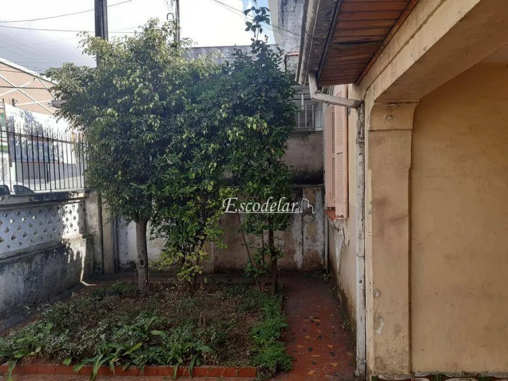 Terreno, 252 m² - Foto 1