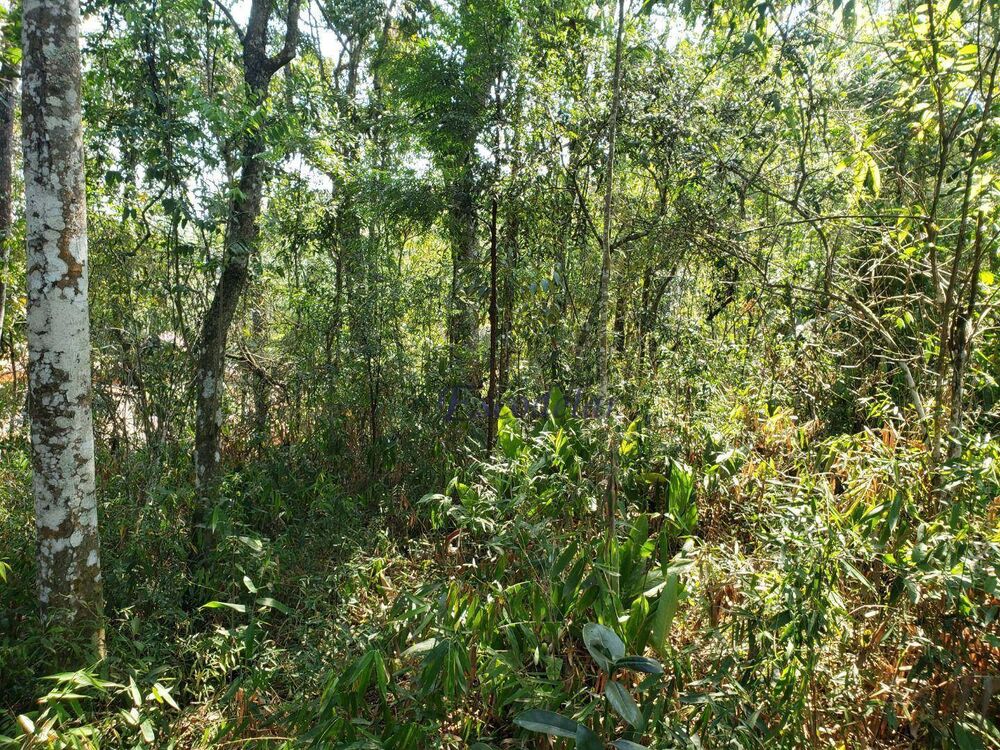 Terreno, 718 m² - Foto 4