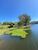 Fazenda, 29 hectares - Foto 4