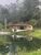 Fazenda, 29 hectares - Foto 2