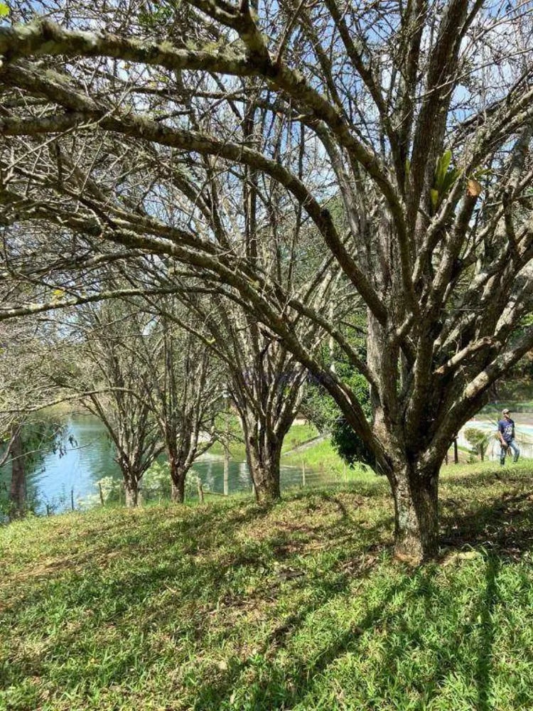 Sítio, 5 quartos, 29 hectares - Foto 8