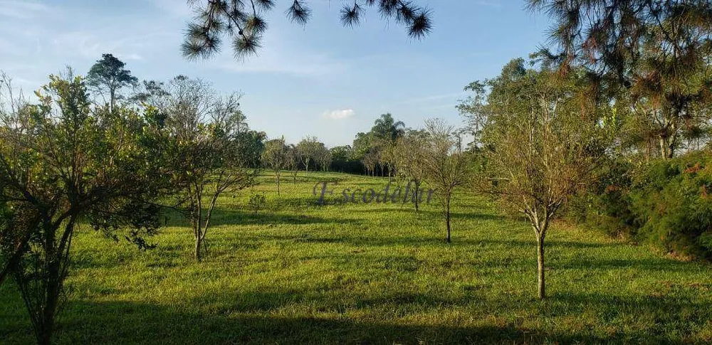 Sítio, 4 quartos, 4 hectares - Foto 2