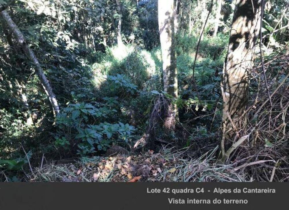 Loteamento e Condomínio, 1350 m² - Foto 1