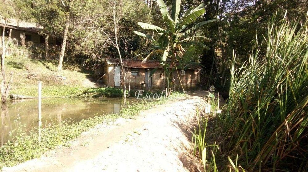 Terreno, 9569 m² - Foto 3