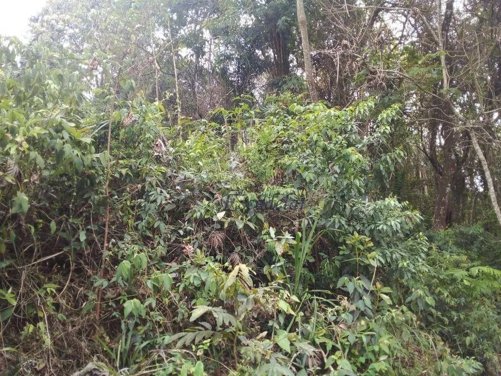 Loteamento e Condomínio, 1332 m² - Foto 6