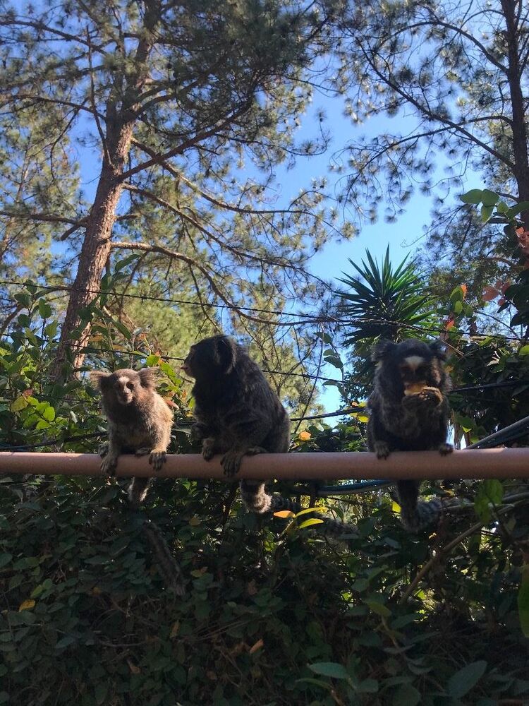 Casa de Condomínio, 5 quartos - Foto 9