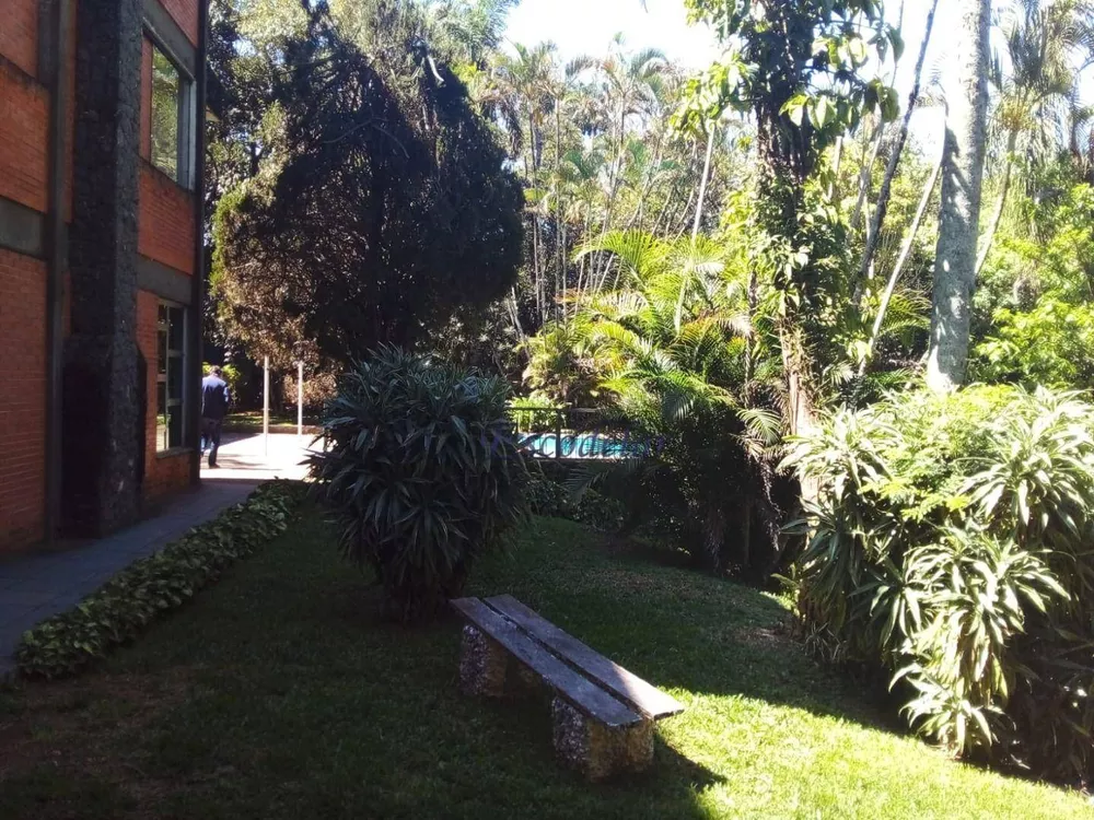 Casa, 4 quartos, 571 m² - Foto 8