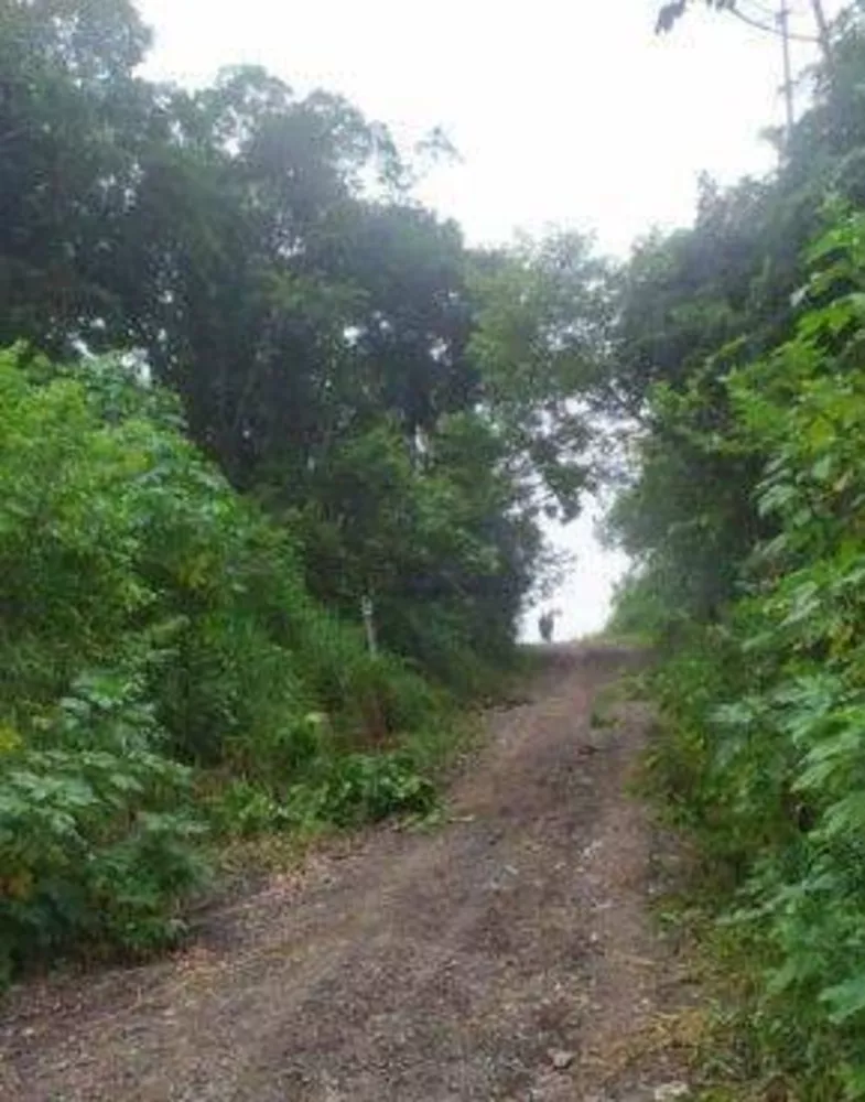 Terreno à venda, 3200M2 - Foto 3