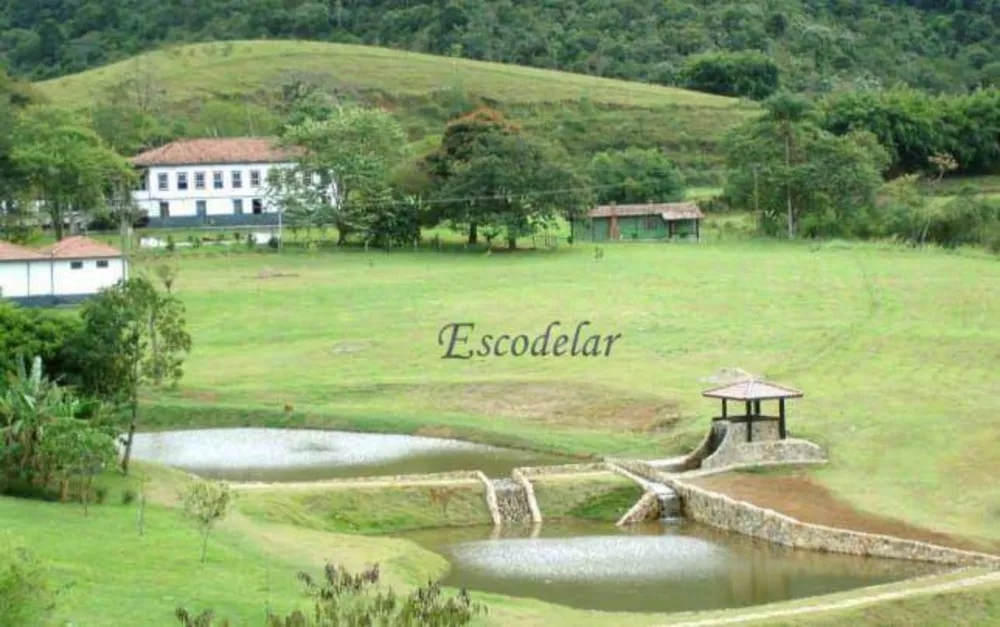 Fazenda, 133 hectares - Foto 19