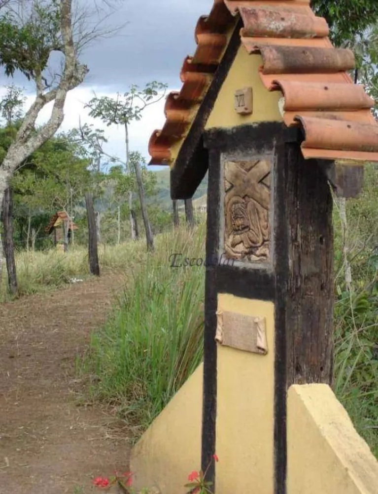Fazenda, 133 hectares - Foto 13