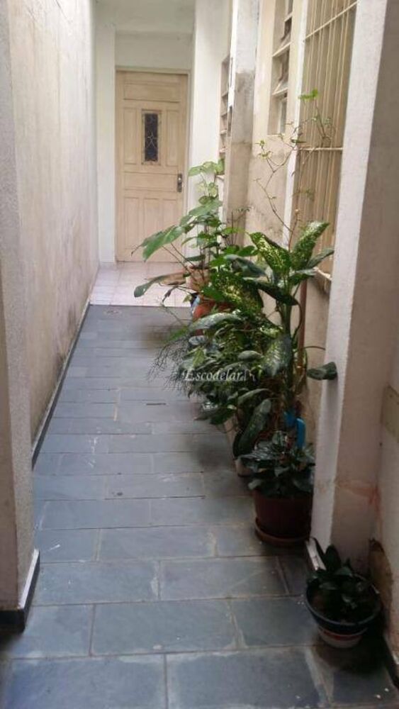 Sobrado, 5 quartos, 350 m² - Foto 3