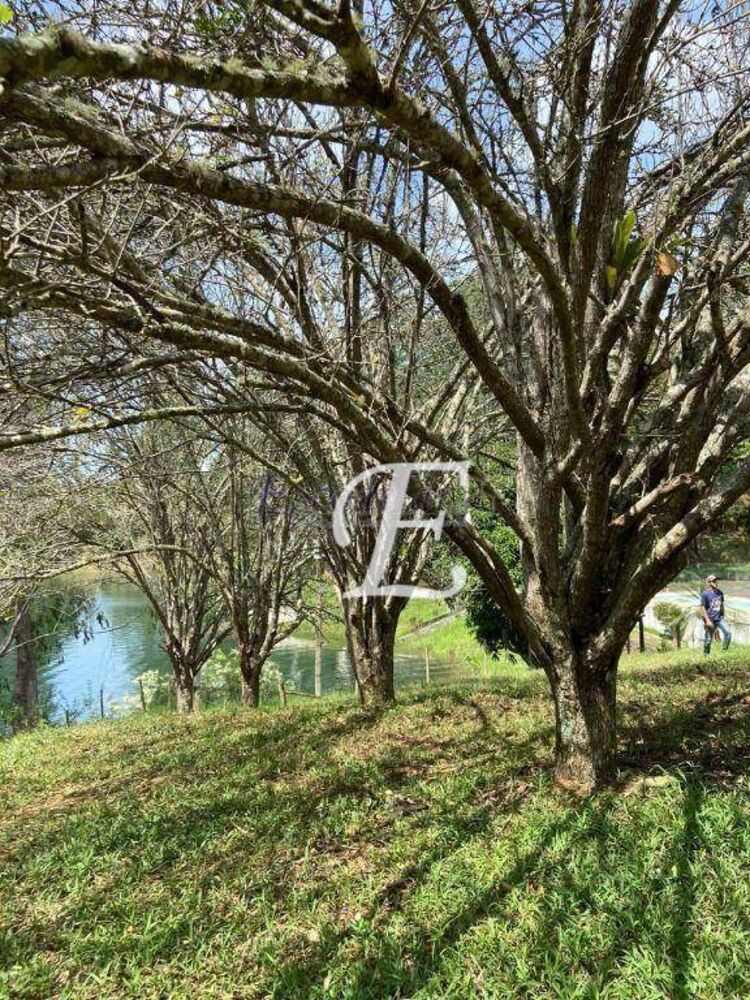 Terreno, 29 hectares - Foto 3