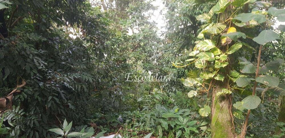 Terreno, 1 hectares - Foto 6