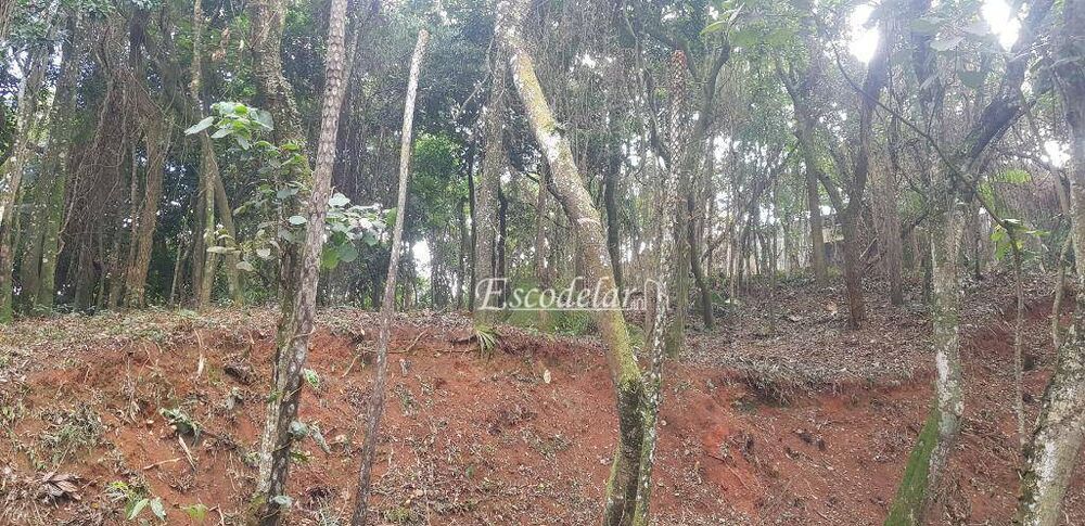 Terreno, 1 hectares - Foto 12