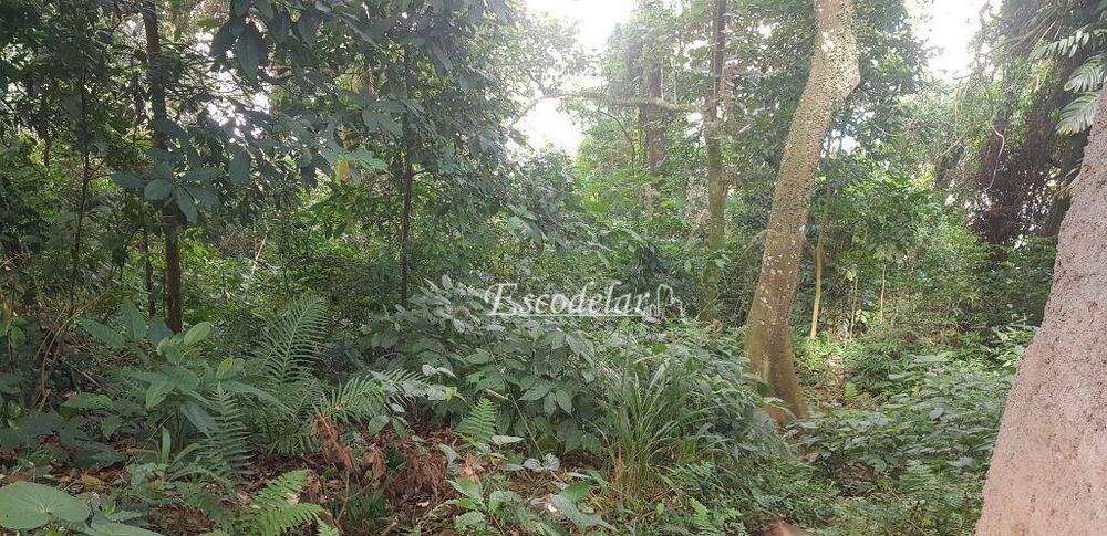 Terreno, 1 hectares - Foto 7