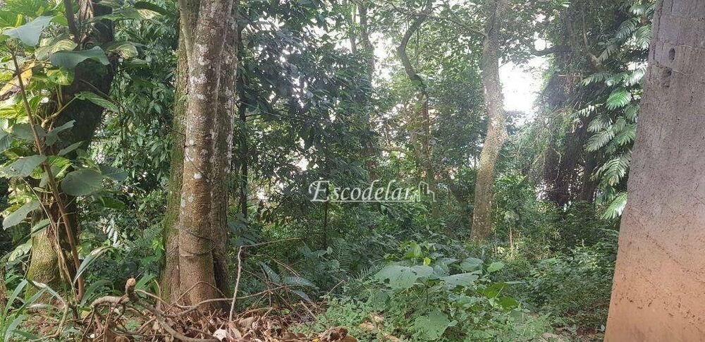 Terreno, 1 hectares - Foto 1