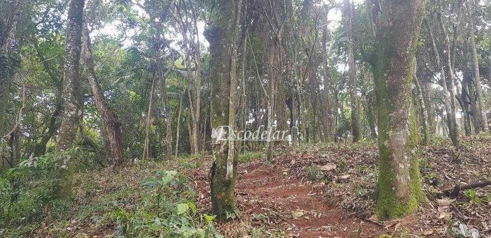 Terreno, 1 hectares - Foto 11