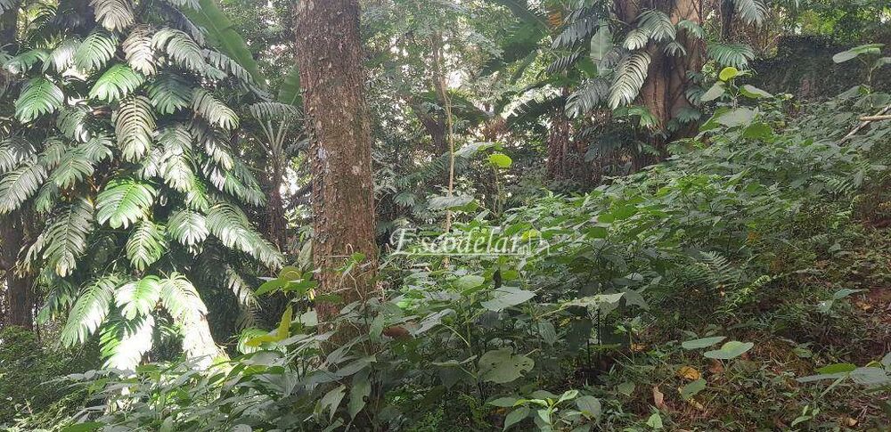 Terreno, 1 hectares - Foto 8