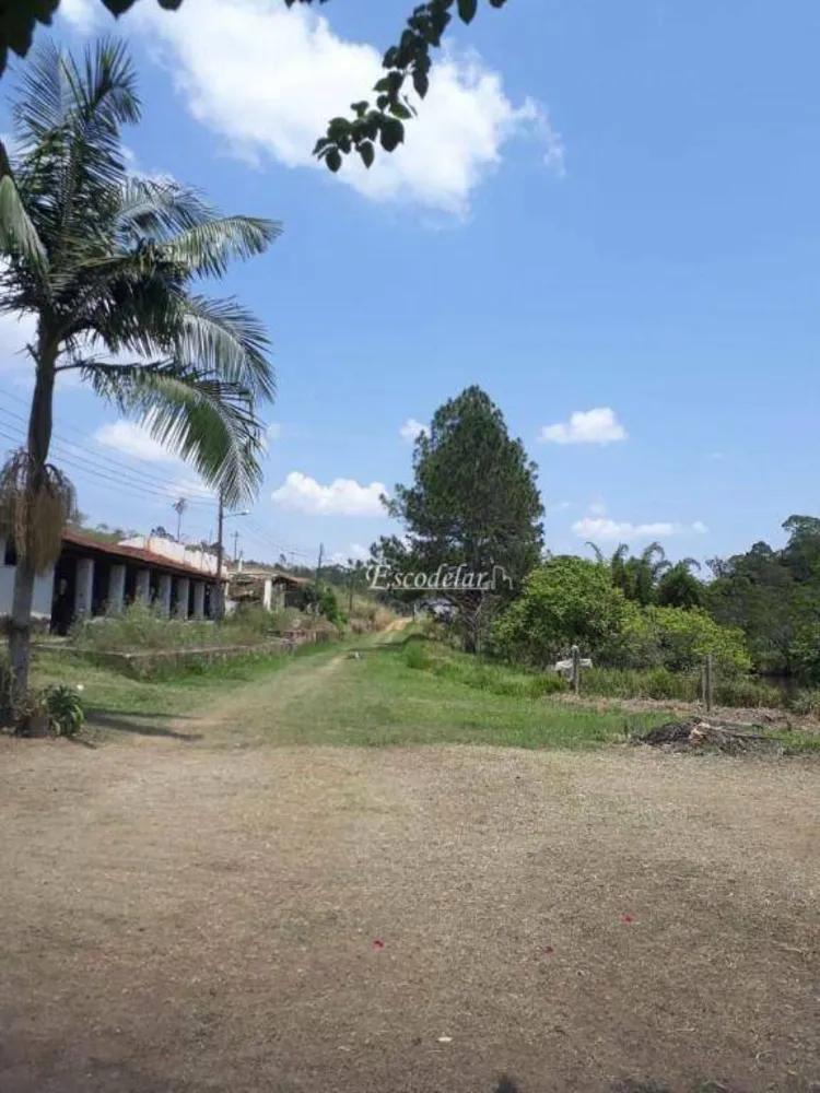Fazenda, 50 hectares - Foto 1