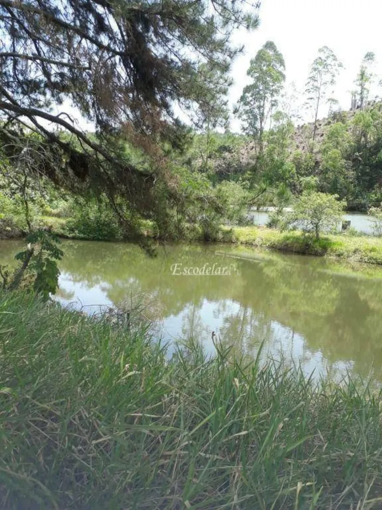 Fazenda, 50 hectares - Foto 3
