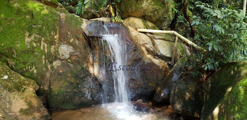 Sítio, 4 quartos, 3 hectares - Foto 2