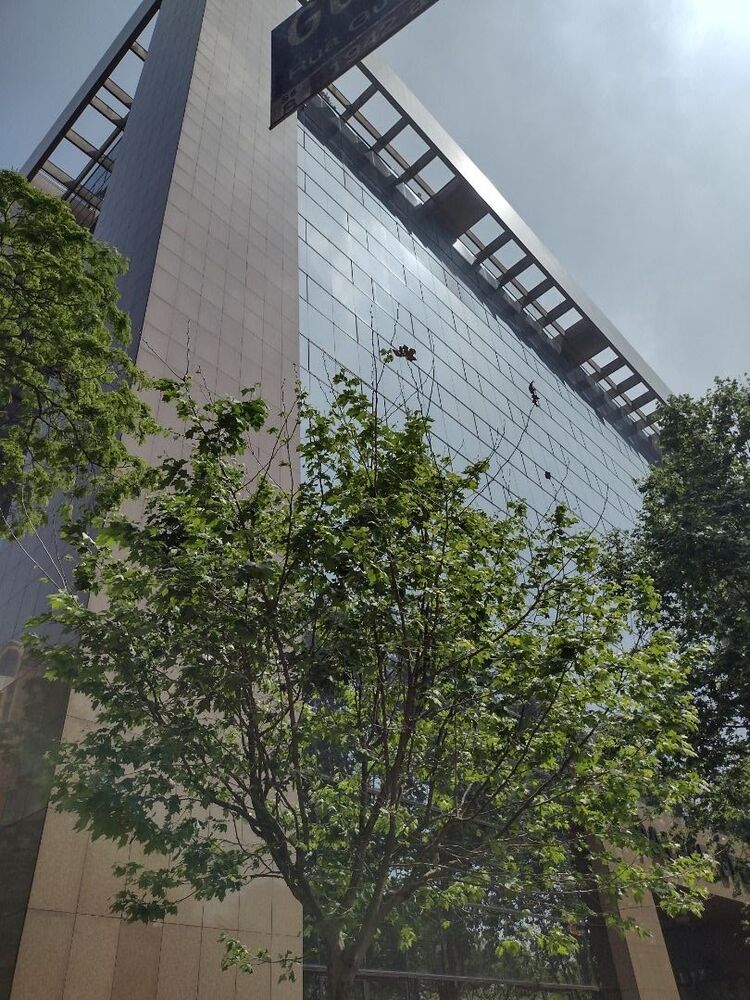 Prédio Inteiro, 885 m² - Foto 2