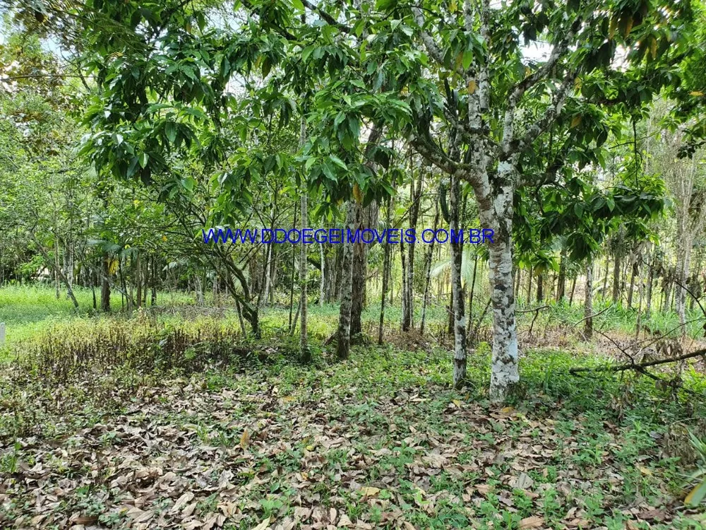 Terreno, 16608 m² - Foto 17