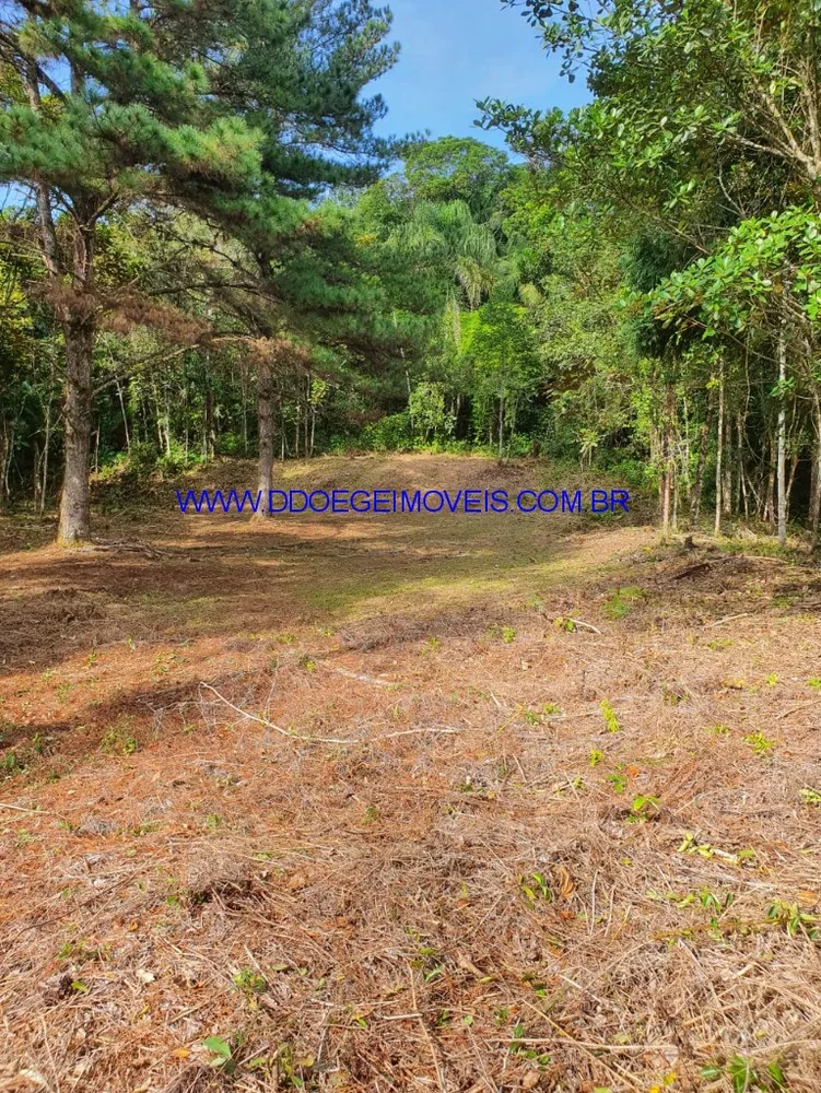 Terreno, 16608 m² - Foto 6