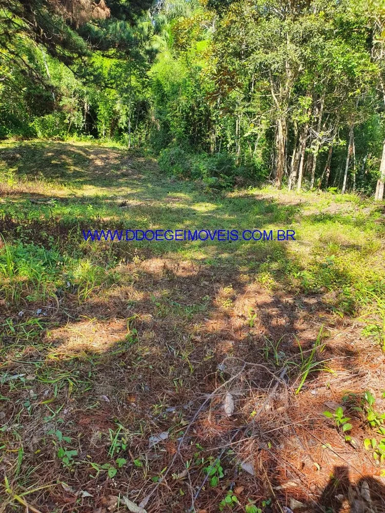 Terreno, 16608 m² - Foto 10