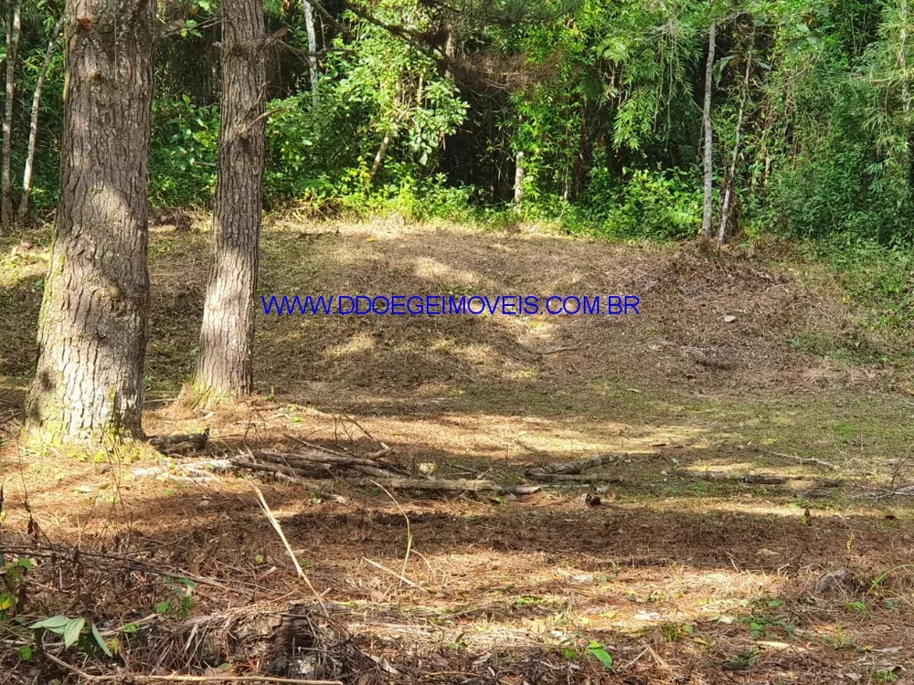 Terreno, 16608 m² - Foto 11